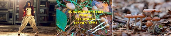 герыч Алзамай