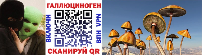 Галлюциногенные грибы MAGIC MUSHROOMS  Нефтекумск 
