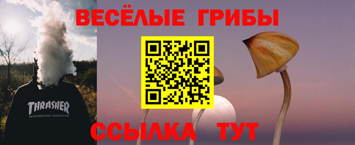 Галлюциногенные грибы Psilocybe Нефтекумск